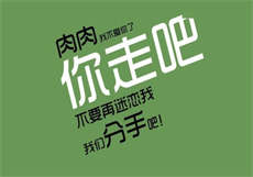 seegams小猫资源下载
